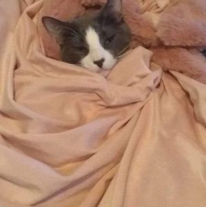 Meet your Posher, Abril